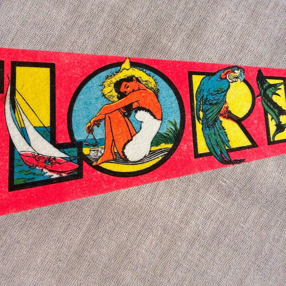 Vintage 1974 Large Felt Imprint Art Florida Souvenir Pennant